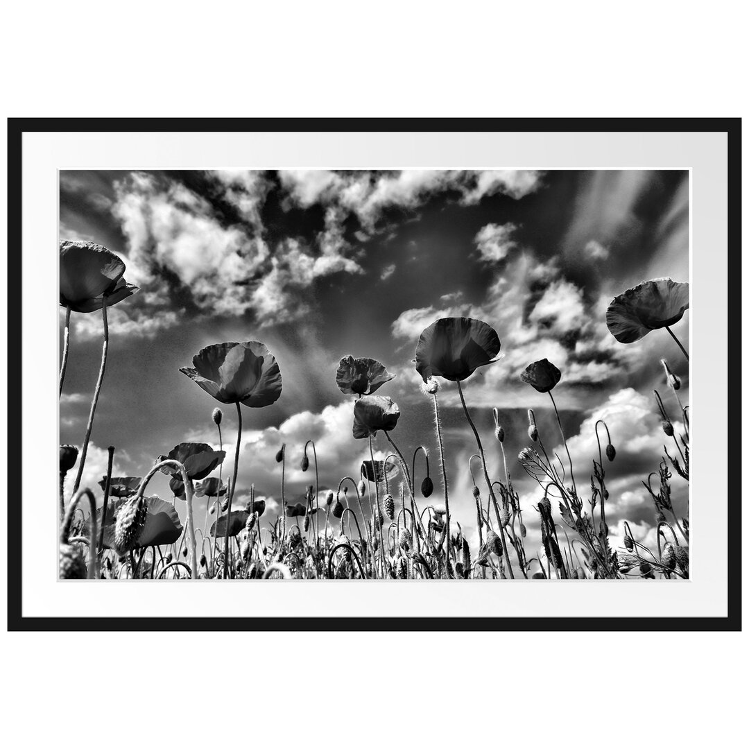 Gerahmtes Poster Wiese mit Blumen