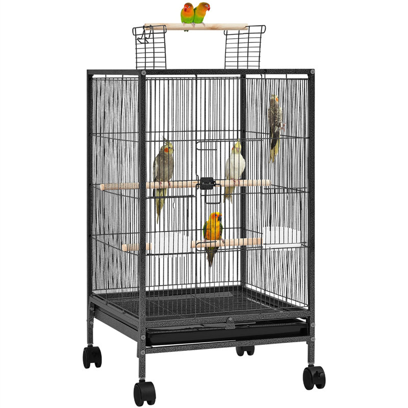 Cage à oiseaux Dzion