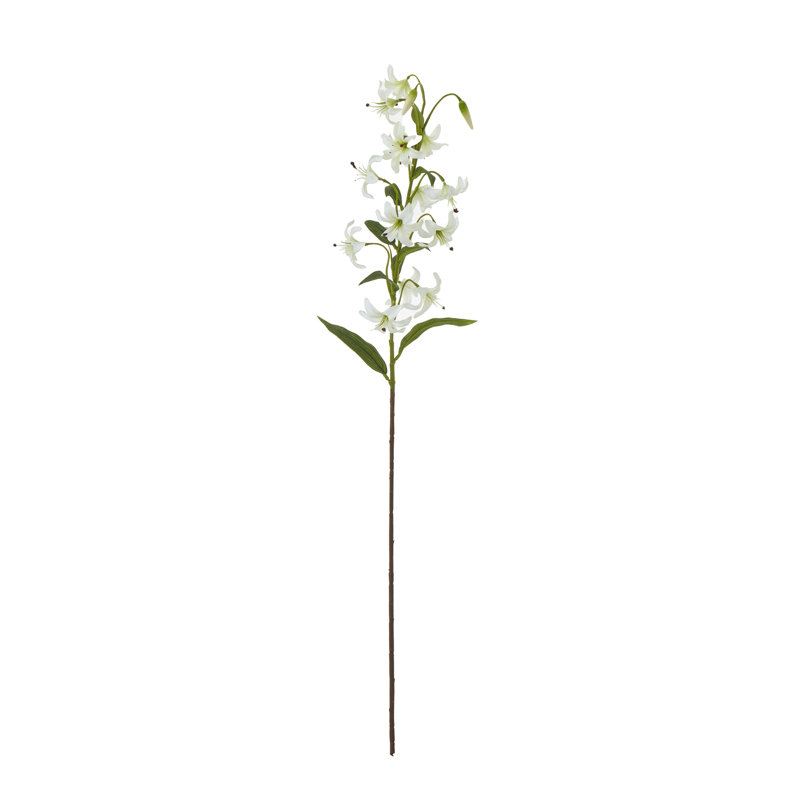 Arrangement