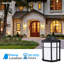 LED Wall Light