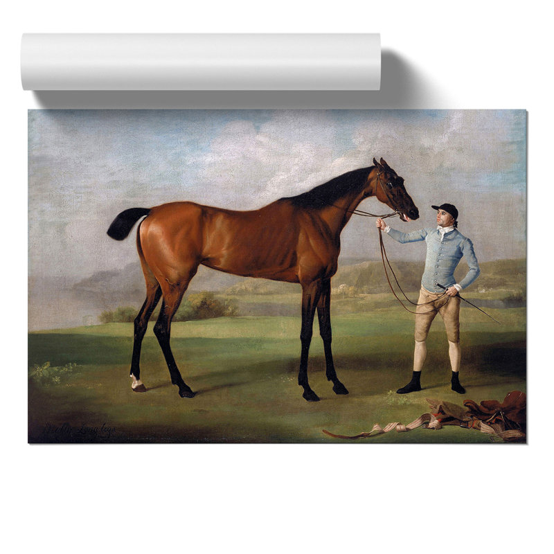 Molly Long Legs by George Stubbs - No Frame Painting, 42cm H x 59cm W x 0.1cm D