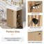 Meuble-lavabo de 22 po à porte gauche avec lavabo en céramique - grain de bois, rangement ouvert et fermé