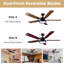 Ceiling Fan with LED Lights-350266708
