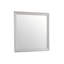Miroir Lorana G6500-M, champagne argenté
