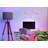 Mehrish 12'' LED Neon Sign