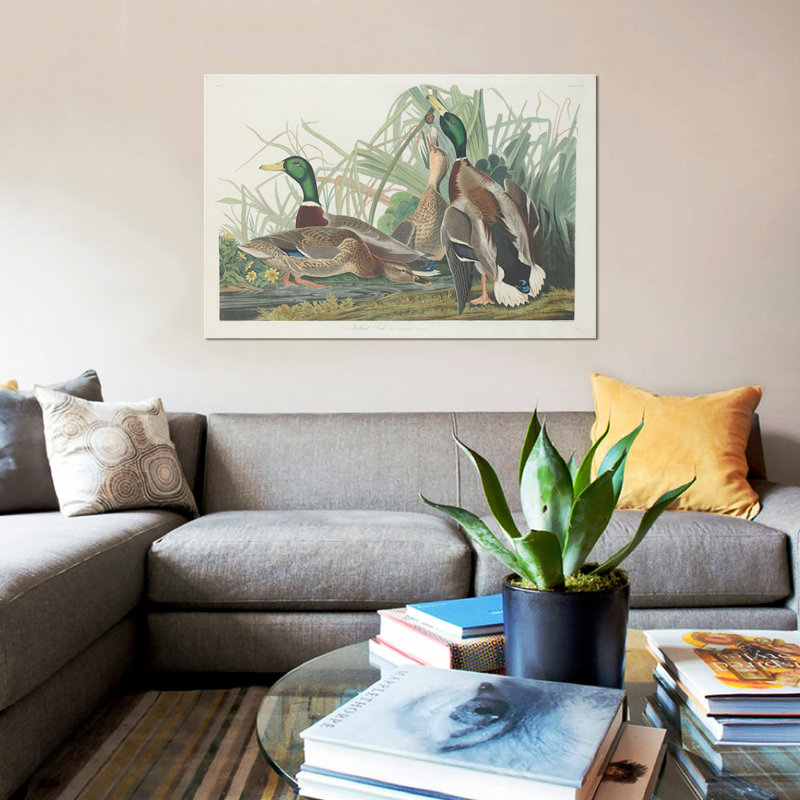 « mallard duck », impression sur toile, H 18 po x l 26 po x P 1,5 po, Pas de tapis, Toile tendue