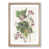 Oak Framed selected