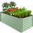 Rosonda Outdoor Metal Raised Planter Box-78598326-127370207