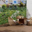 98.5cm H x 194cm W Plastic Lawn Edging