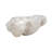 Anaica 9" W Handmade Polyresin Shell Decorative Bowl