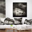 Coussin White Horse