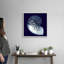 « Indigo shells VII » par vision studio-impression-1808968368-1808968362
