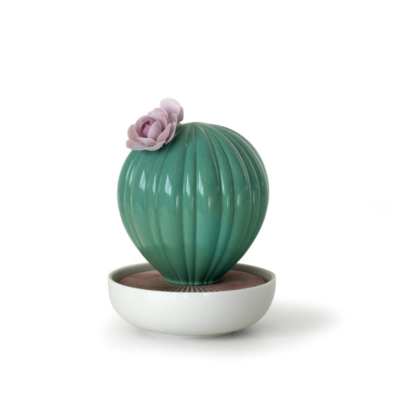 Ferocactus cactus de l’odeur de valencia, Fleurs tropicales