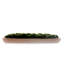 Faux Moss in Wood Long Bowl