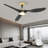 (set Of 2) 52" Blade Led Propeller Ceiling Fan With Remote Control-750496122