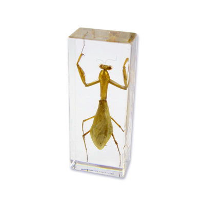 Rambert Animals Figurines & Sculptures