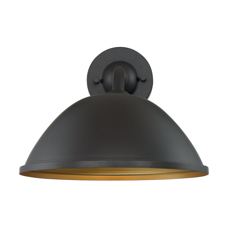 Luminaire de grange d'extérieur à 1 ampoule, Noir lustré / argenté, Noir, H 10,88 po x l 12 po x P 18,5 po