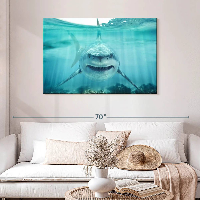 Brampt Predatory White Shark, 30" H x 45" W