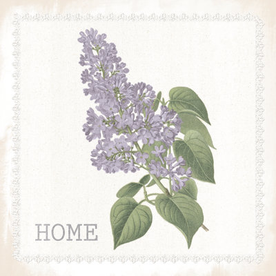 Vintage Home Flower - Wrapped Canvas Print