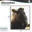 Bessie, portrait de vache, estampe numérique, conception par Leah Straatsma-1048664950-1048664906