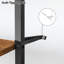 Shellplant 105.41cm Bar Cabinet