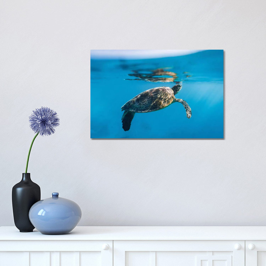 Large Turtle Underwater Reef by James Vodicka - Wrapped Canvas Gallery-Wrapped Canvas Giclée