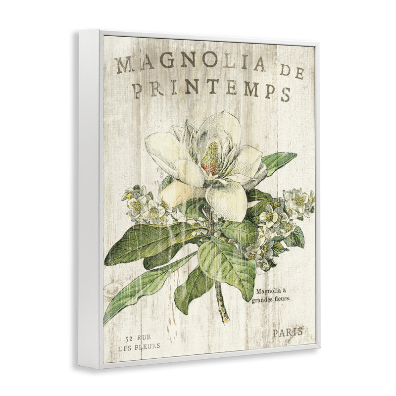 Magnolias français au printemps surdimensionné, art numérique sur estampe numérique par Sue Schlabach, H 30 po x l 24 po