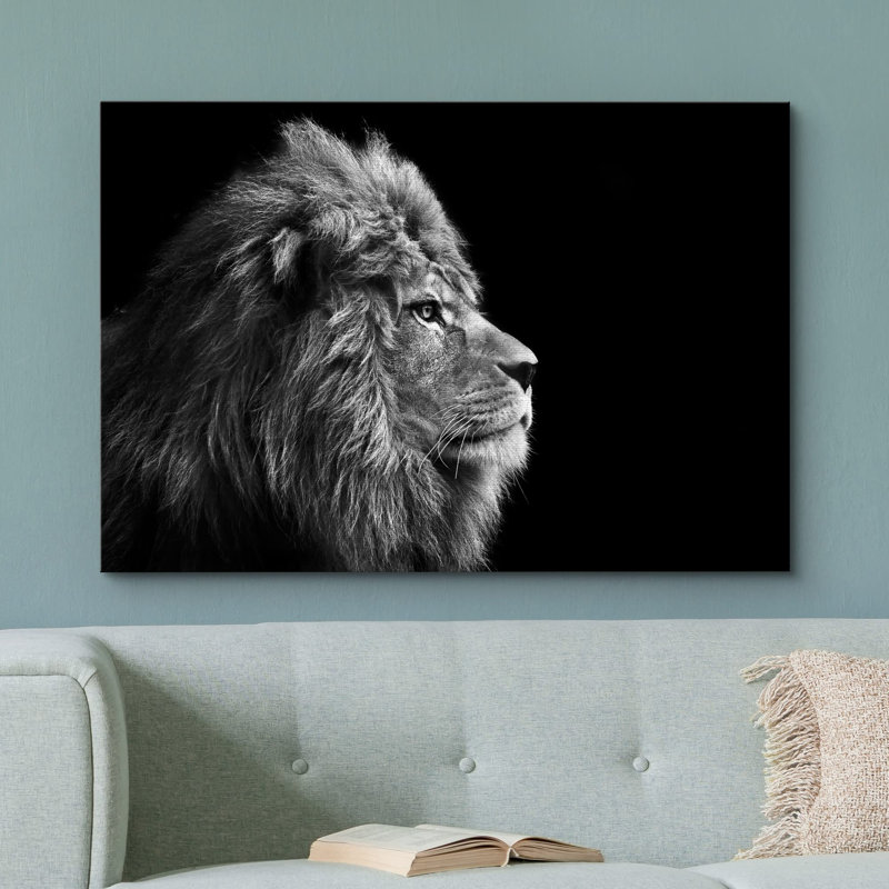 Un lion sur fond noir, estampe numérique sur toile, H 24 po x l 36 po x P 1,5 po, Toile tendue
