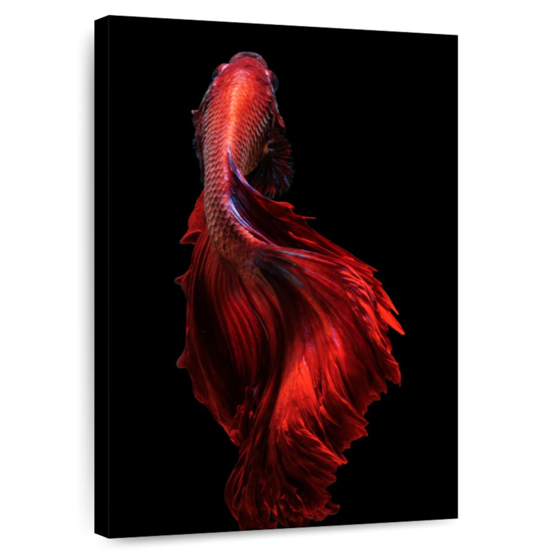 Brampt Bright Red Betta Fish, 12" H x 8" W