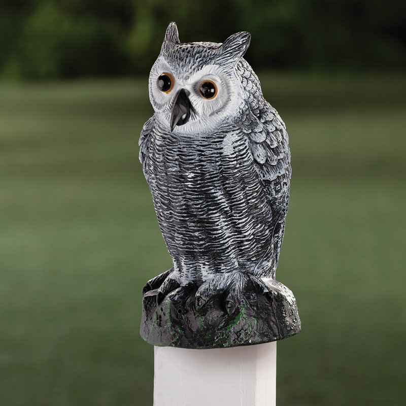 Capteur hibou