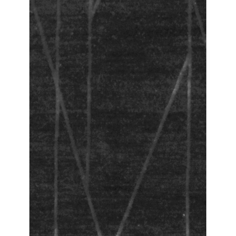 Sarila Area Rug in Black