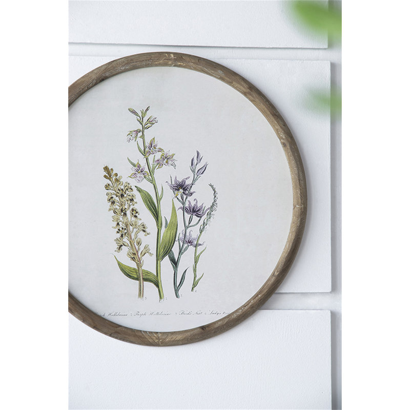 S/4 D19.7" Flora Print Round Frame