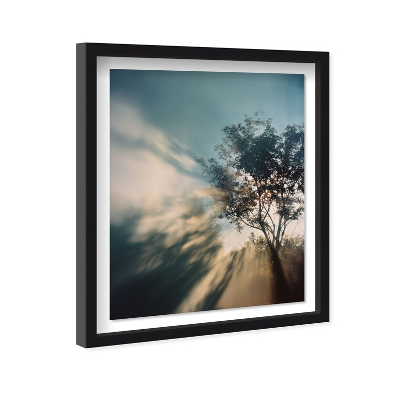 Golden Sunbeams II Shadowbox Floral & Botanical Print by Oliver Gal, Black Frame, 16 x 20, 21.5"H x 25.5"W, Black Shadowbox