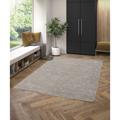 Giametta Machine Woven Grey Indoor Rug