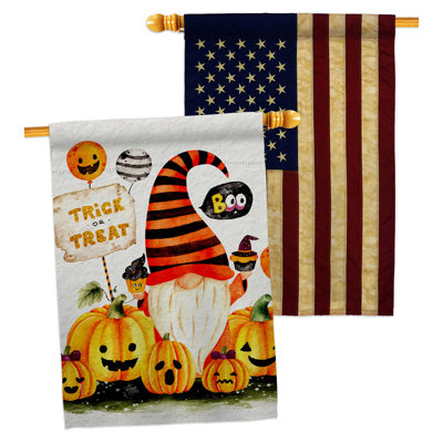 Drapeau de maison 40 x 28 pi