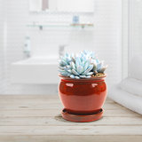 Handmade Ceramic Pot Planter