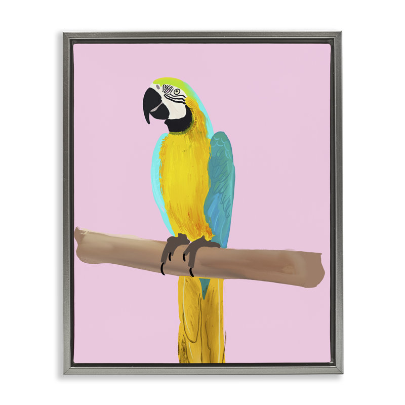 "Bright perroquet sur fond noir encadré" par Ashley Singleton, Cadre flottant gris lustré, H 21 po x l 17 po