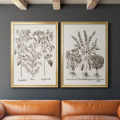 " Sepia Besler Botanicals I " 2 - Pieces