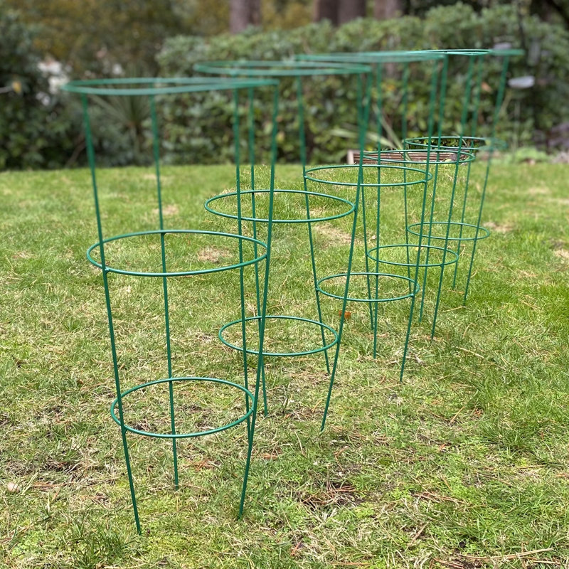 Aieden Metal Weather Resistant Plant Support, 60 x 25 x 25 cm