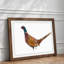 Pheasant Bird in Winter - Framed Print-56704609-56704613