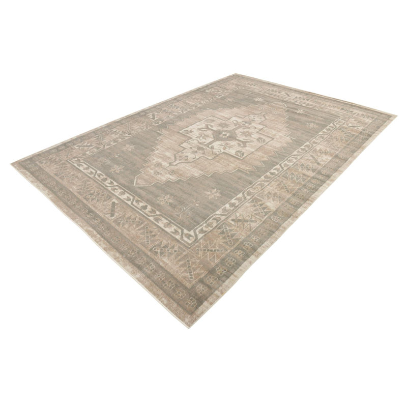 Matthei Oriental Indoor Rug, Rectangle 6' x 9'