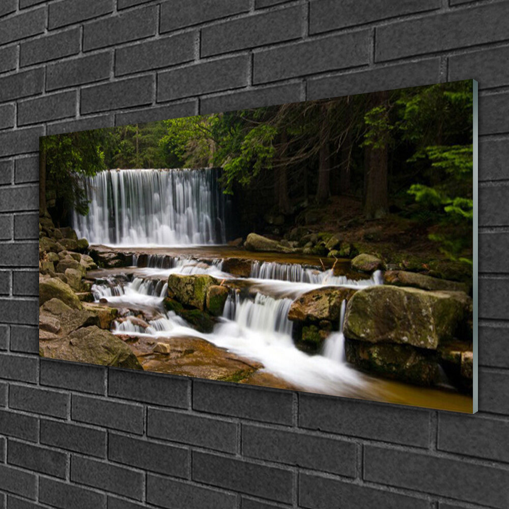 Glasbild Waterfall Forest Nature