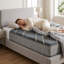 Matelas en mousse viscoélastique gélifiée simple TempaGel par Restonic de 13 po TempaGel par Lux-123115679