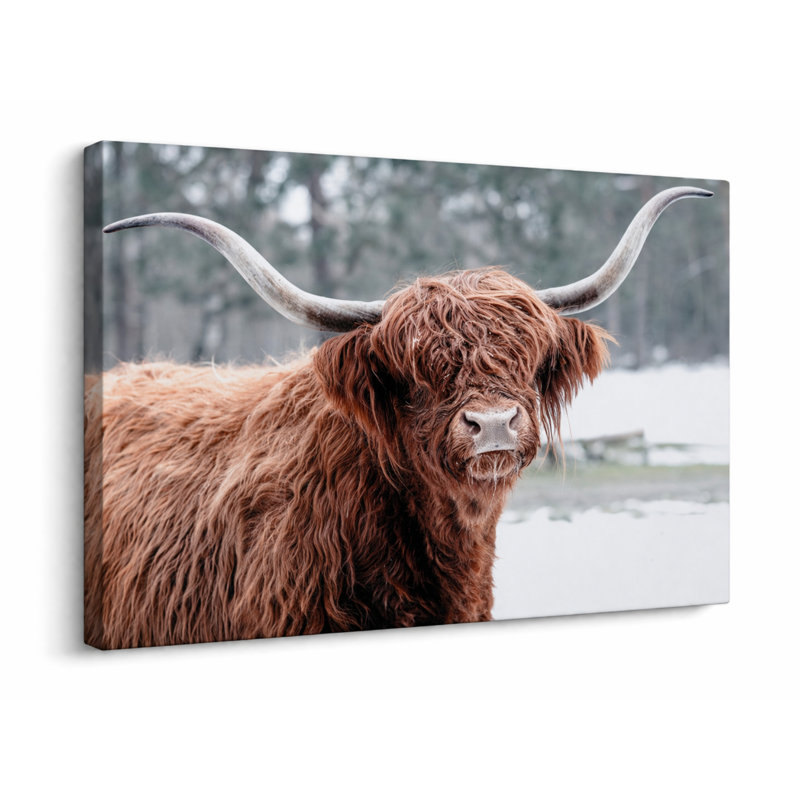 «A Highland Hello», reproduction d'art sur toile tendue sur toile tendue, 15" H x 20" W