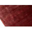 Area Rug in Red