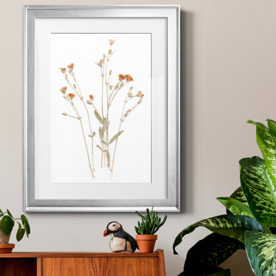" Pressed Botanical I " by J Paul