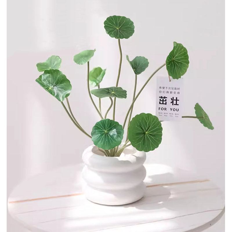 13,39 plante