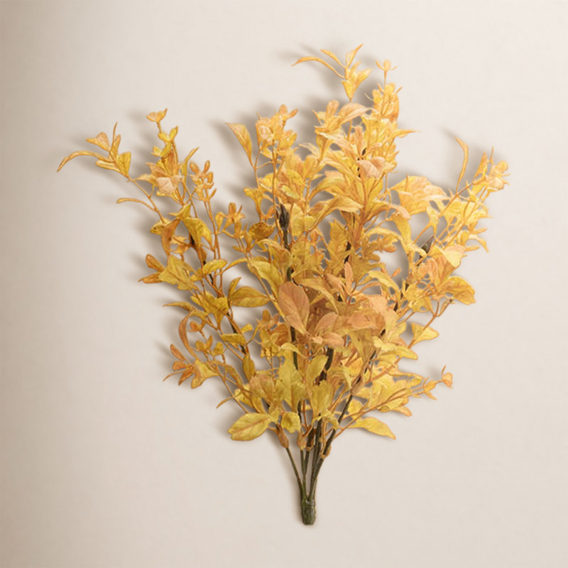 Feuillage d'automne mixte