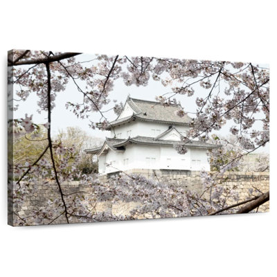 Lilie Sakura Blossoms In Nagoya Castle