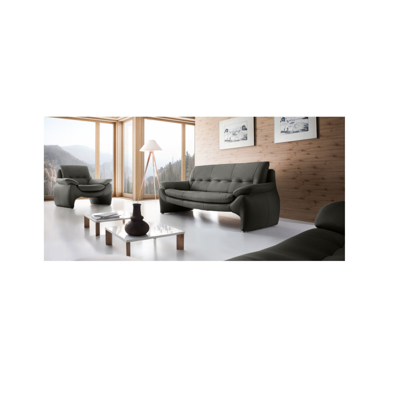 Ariock Genuine Leather Sofa, 2, Grey